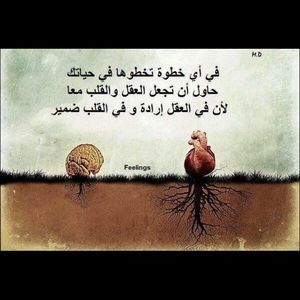 Meet your Posher, Rola